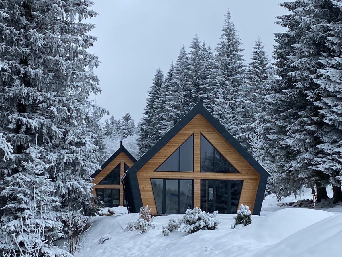 Chalet Belveder Horska Chata Zelezna Ruda Exterior photo