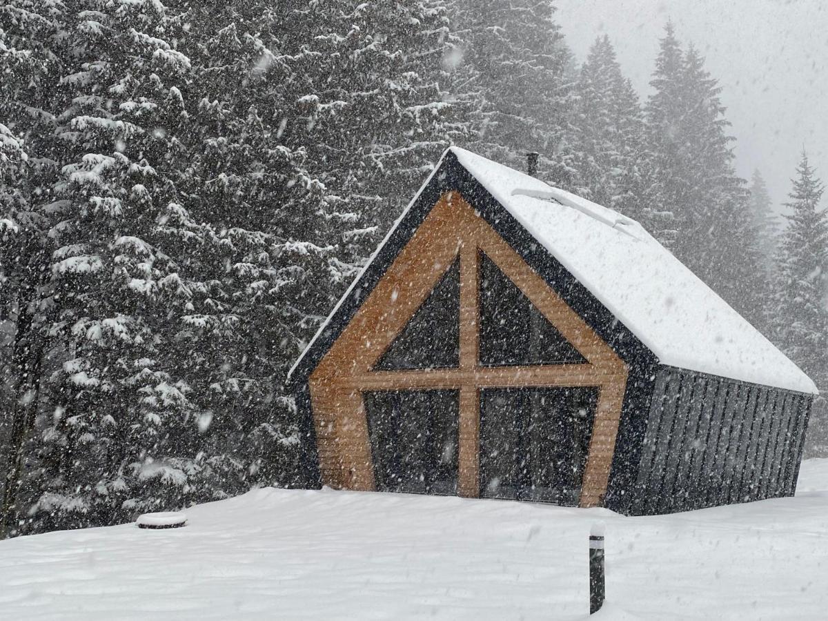 Chalet Belveder Horska Chata Zelezna Ruda Exterior photo
