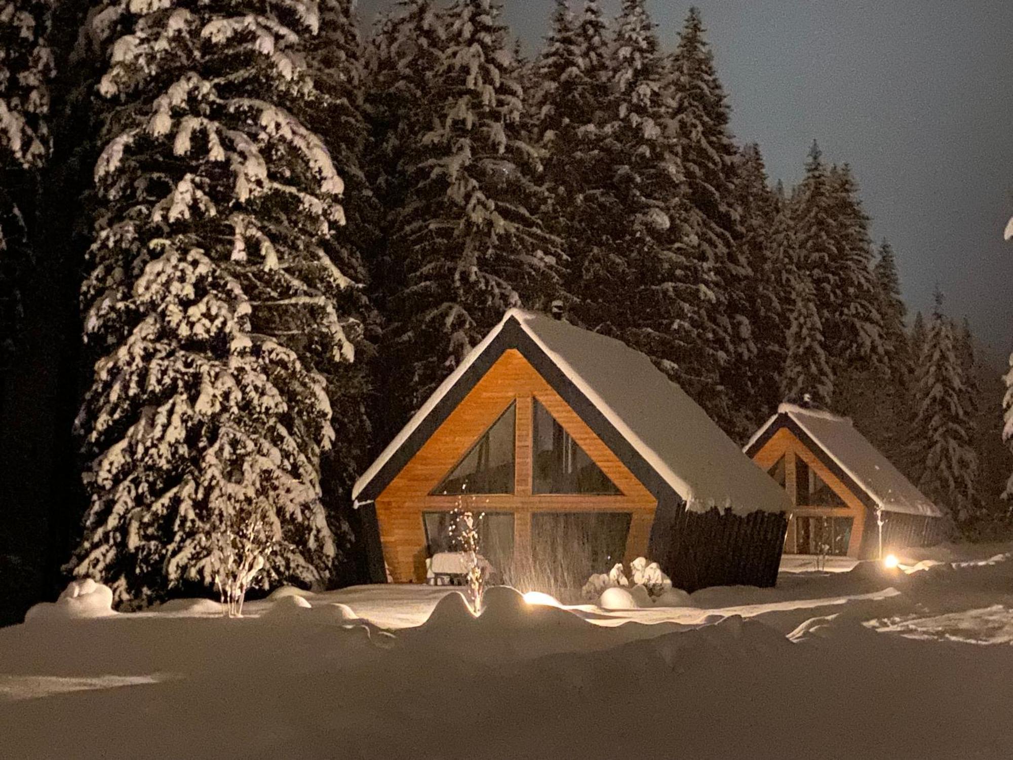 Chalet Belveder Horska Chata Zelezna Ruda Exterior photo